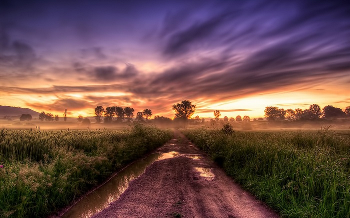 Dirt road through a misty field at sunrise