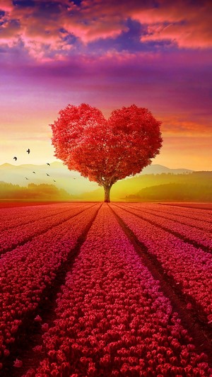Beautiful, Heart, Tree, Landscape, Scenery, 4k