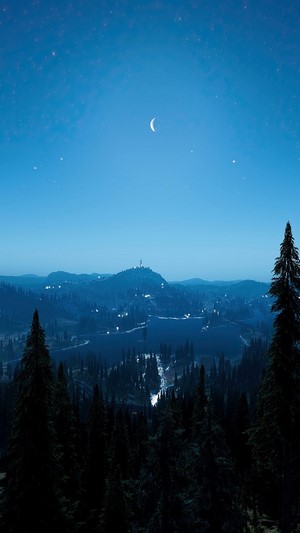 Night, Sky, Forest, Scenery, Landscape, 4k