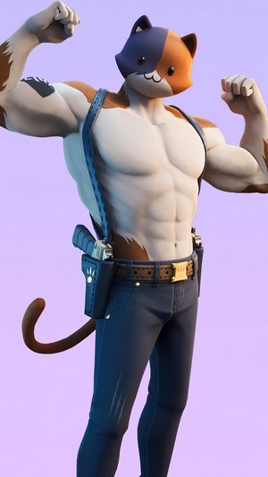 Fortnite, Meowscles, Skin, Outfit, 4k