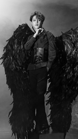 BTS, Jimin, Black Wings, Map of the Soul 7, 4k