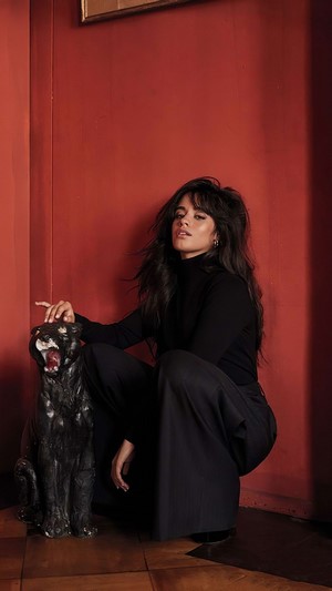 Camila Cabello, 4k