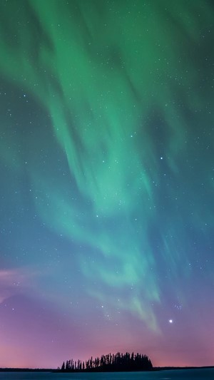 Aurora Borealis over a treed island