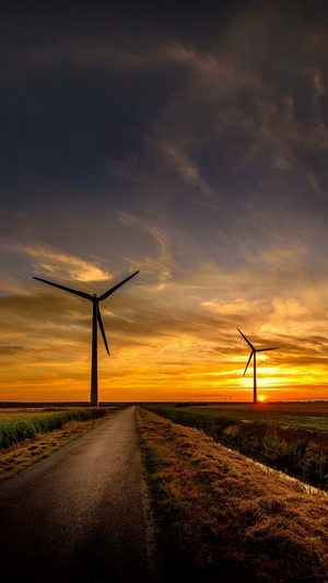 Wind turbines at sunset with a road