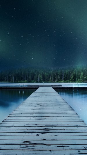 Wooden dock on a lake under a starry night sky