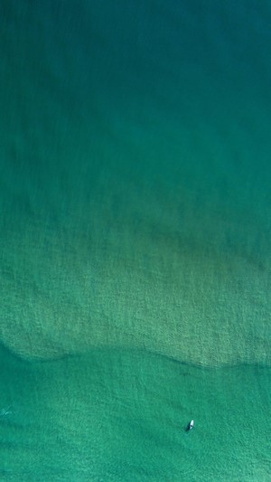 Aerial view of a person on a surfboard in clear turquoise water