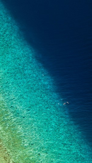 Aerial view of a coral reef with swimmers