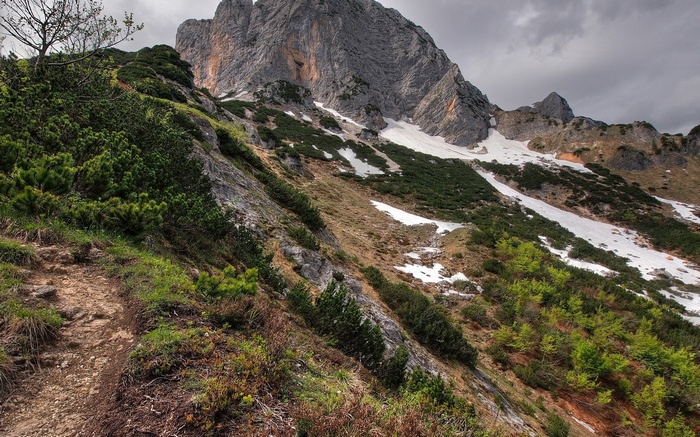 Mountain slope with snow patches and pine trees