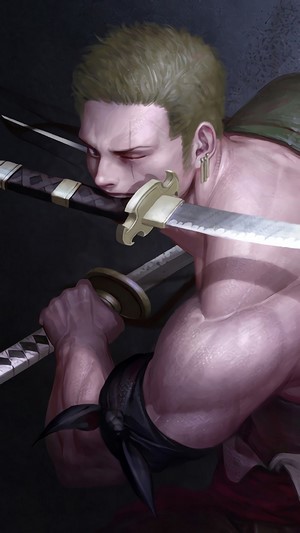 Roronoa Zoro from One Piece using 3 Sword Style