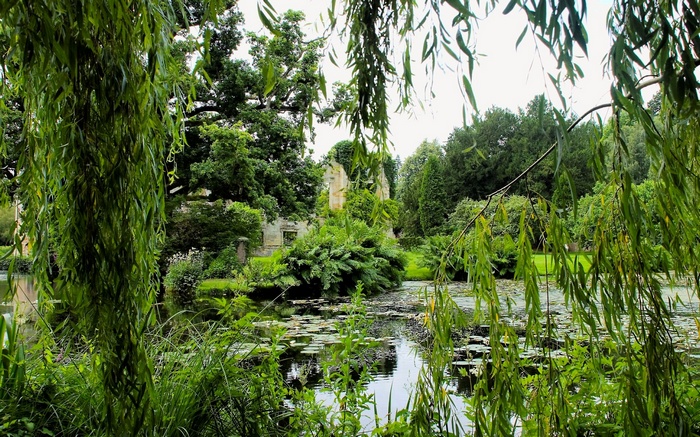 Ruins in a garden with a pond and weeping willow