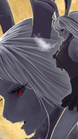 Carrot, Sulong, Form, One Piece, 4k