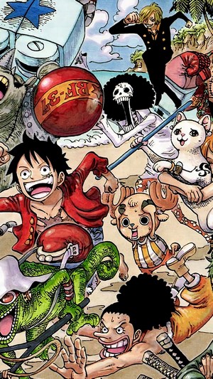One Piece: Straw Hat Pirates on a Beach