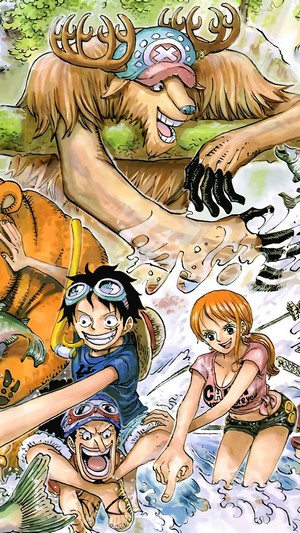 One Piece: Chopper, Luffy, Nami, and Usopp in water