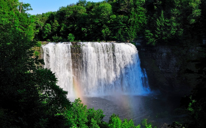 Waterfall with Rainbow and Lush Green Trees
