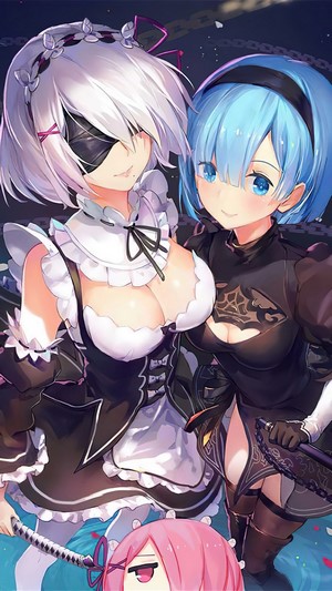 2B from Nier Automata and Rem from Re:Zero