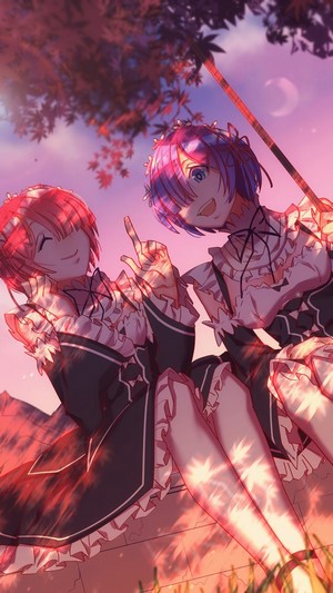 Ram and Rem from Re:Zero