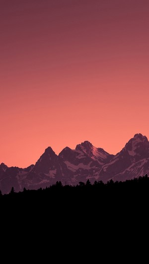 Mountain landscape with forest silhouette and sunset sky