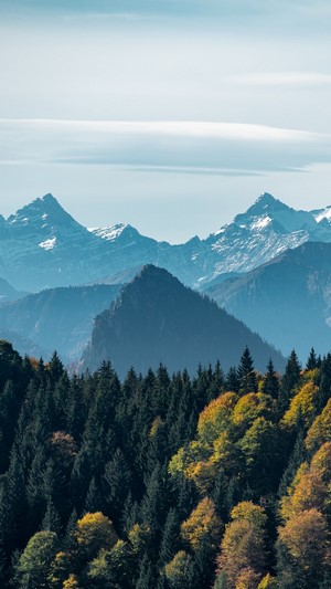 Mountain Range with Forest in Foreground