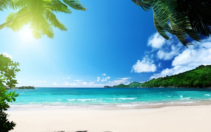 Tropical beach with palm trees and turquoise water