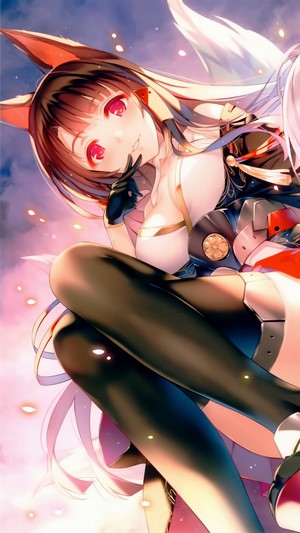 Azur Lane Akagi and Shoukaku 4K