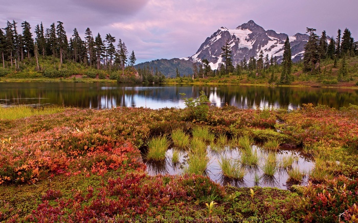Mountain lake with autumn foliage and snow-capped peak