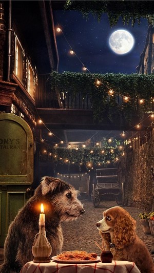 Lady and the Tramp 4K
