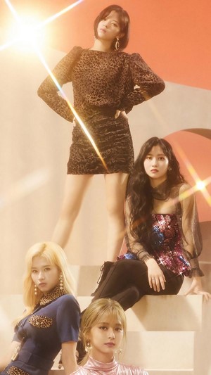 TWICE members from Fake and True 4K