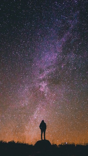 Stars, Night, Sky, Scenery, Silhouette HD