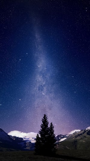 Milky Way over Mountains and Trees 4K