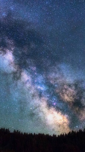 Milky Way Galaxy over Forest Silhouette 4K