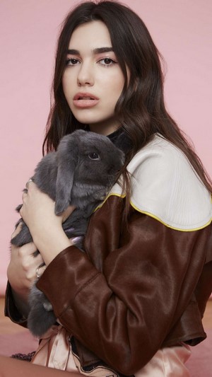 Dua Lipa, 4k