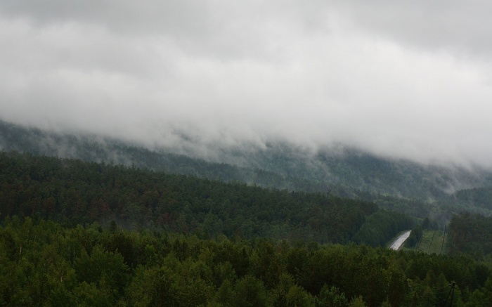 Misty mountains and a forest road
