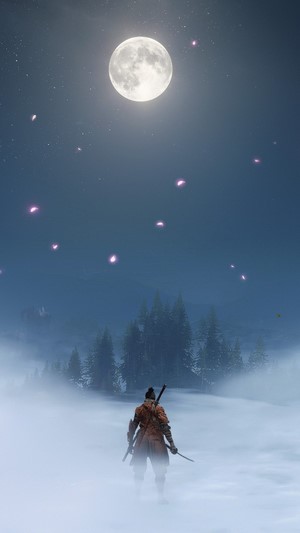 Sekiro from Sekiro: Shadows Die Twice under the moon