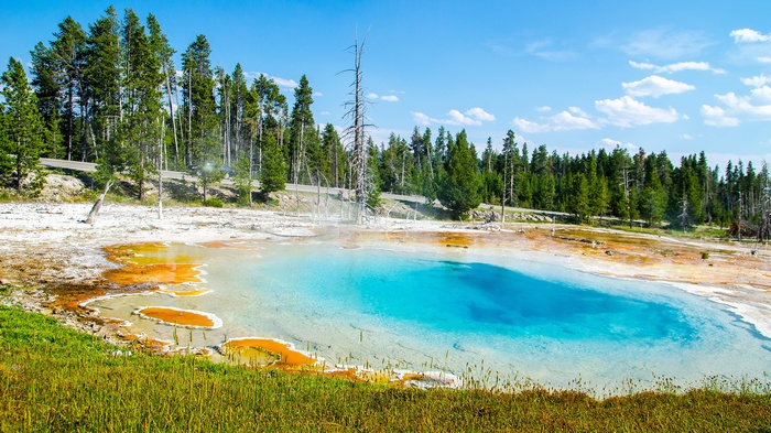 Turquoise hot spring with orange mineral deposits and pine forest
