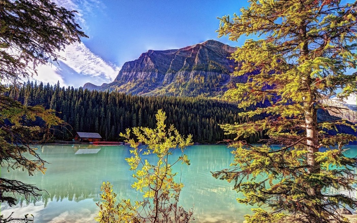 Lake Louise with Mountains and Forest