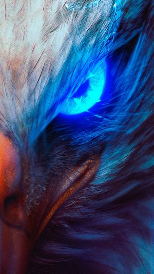 Eagle Eye Digital Art 4K