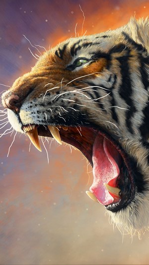 Tiger growling with sharp teeth