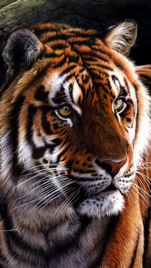 328190 Tiger, Art, 4k - Rare Gallery HD Wallpapers