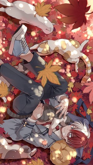 Shoto Todoroki, Cats, [My Hero Academia], 4k