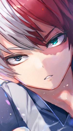 Shoto Todoroki, [My Hero Academia], 4k