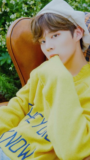 Wooseok from X1 in yellow sweater