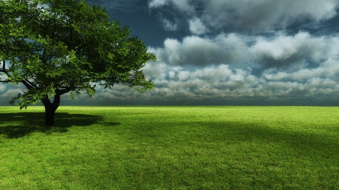 A lone tree in a vast green field under a cloudy sky