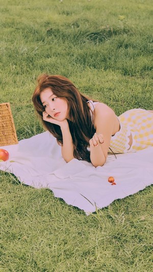 Seulgi from Red Velvet on a picnic blanket