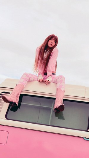 Seulgi from Red Velvet on a pink van