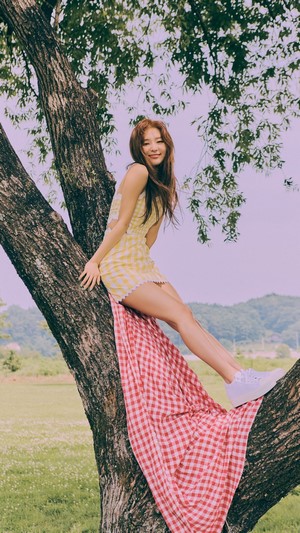 Seulgi from Red Velvet sitting on a tree branch