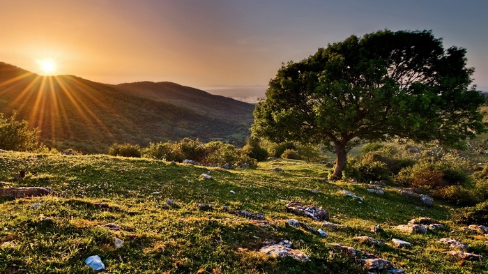 Sunrise over a tree-covered mountain landscape