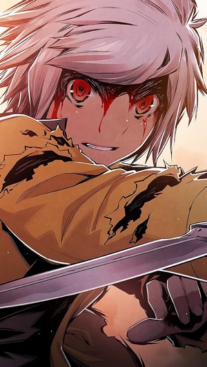 Bell Cranel from DanMachi