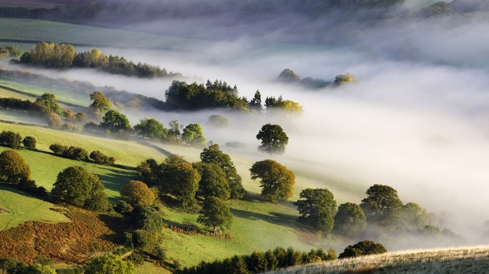 Misty valley with rolling hills and trees