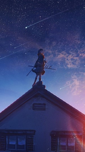 Anime girl on rooftop watching shooting stars