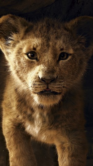 Simba from The Lion King (2019)